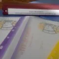 Програма стажування для вихователів дитячого садка дитячого