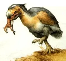 юрський