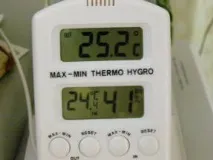 Розсада капусти білокачанної, Садівництво24 білокачанної