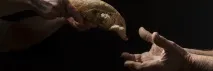 П’ять християн, які змінили світ році