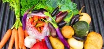 Розсада кабачків, баклажанів гарбуза баклажанів