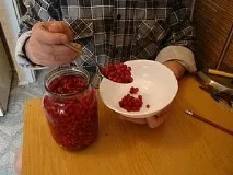 Рослини допоможуть проти радіації - Суспільство - Вечірній Петербург суспільство