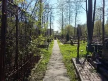 Санкт-Петербург, Василеостровський район район