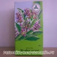 Шавлія, трави для припинення лактації - Популярне про здоров’я лактації