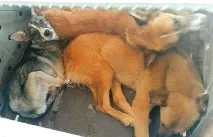 подробиці