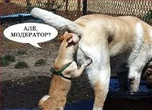 Зараз усі дівчата однакові, не те що раніше дівчата