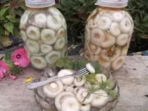 Солити білі грузді білі грузді