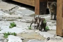 способи