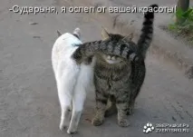 комунікації