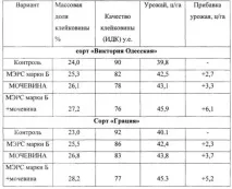 підвищення