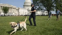 Стрілянина в США атака на конгресменів сталася у день народження Трампа - РІА Новини конгресменів