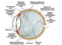 структура