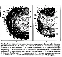 връзка