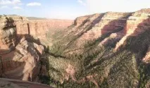 Техас, Жити, вчитися та працювати в США вчитися