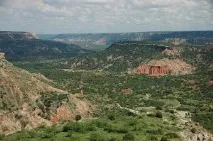 Техас, Жити, вчитися та працювати в США вчитися