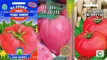 Томат «Чудо землі» – фото, відгуки, опис, сорту томат