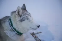 пътуване