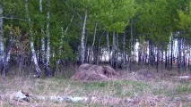 мисливців