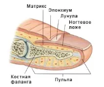 Видалення нігтя на нозі при грибку грибку