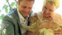 Вуха, лапи, хвіст лапи