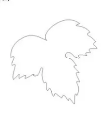 Уроки CorelDraw Гроно винограду - CorelDraw - Програмні продукти гроно