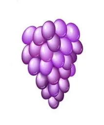 Уроки CorelDraw Гроно винограду - CorelDraw - Програмні продукти гроно