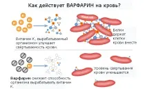 варфарин