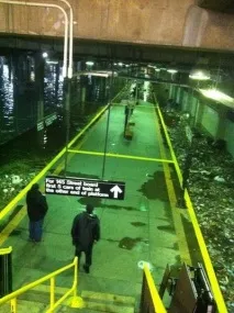 Жахи Франкеншторма у США акули на вулицях та потоп у метро. акули
