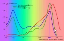 Видимі спектри, ультрафіолетове випромінювання та їх вплив на рослини спектри