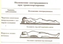 Види та принципи надання першої допомоги першої