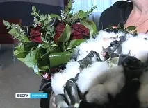 ВІДЕО Молодята влаштували вампірське весілля і прямо з РАГСу вирушили до психіатричної лікарні – Новини відео
