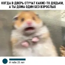 брой