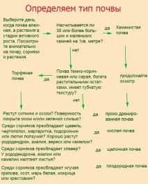Види та склад ґрунтуФото, відео, Моя улюблена дача види
