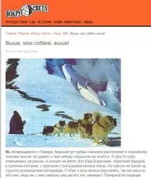 Сходження собак, коли чекати Семи Вершин вершин