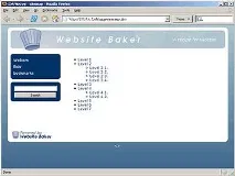 Website