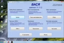 вася