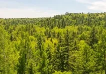 Хінганського