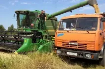 Зерно – не за безцінь Дону