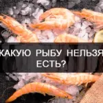 Життя людини та її здоров’я, Синдром полікістозних яєчників - Життя людини та її здоров’я людини