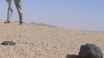 знайдені