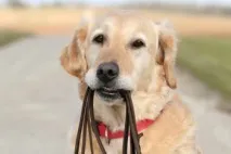 варто