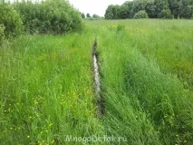 7 способів заощадити при покупці будинку та ділянки будинку