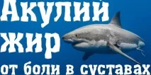 Акулячий жир для суглобів лікувальні властивості лікувальні