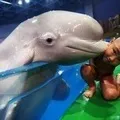 Риба () 6 букв - пошук слів за маскою та визначенням, відповіді на сканворди риба