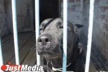 Рибка», «зайчик», «сонечко» зайчик
