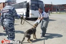 Рибка», «зайчик», «сонечко» зайчик