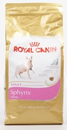 sphynx