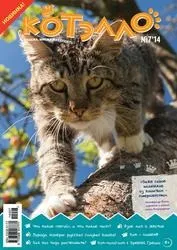 Анонси журналів - Конячки, Котелло, Школа чарівниць, Губка Боб та інші конячки