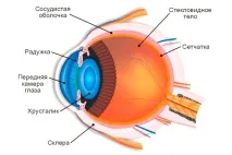 Аномалії та захворювання кришталика - Опис, симптоми, лікування кришталика