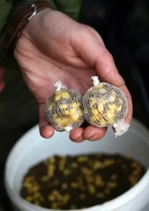 Аромати, що використовуються в приваді, підгодовуванні, насадках та наживках використовуються